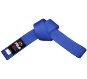 FUJI Sports Martial Arts Color Belt